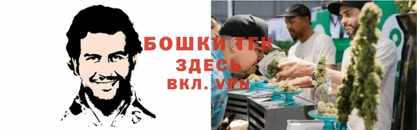 амф Аша