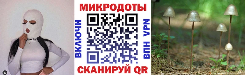 Псилоцибиновые грибы MAGIC MUSHROOMS  где найти   кракен рабочий сайт  Чита 